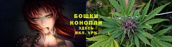 ГАЛЛЮЦИНОГЕННЫЕ ГРИБЫ Гусев