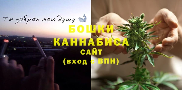2c-b Горняк