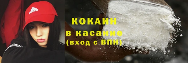ГАЛЛЮЦИНОГЕННЫЕ ГРИБЫ Гусев