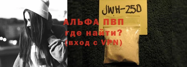 ГАЛЛЮЦИНОГЕННЫЕ ГРИБЫ Гусев
