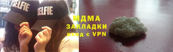 ГАЛЛЮЦИНОГЕННЫЕ ГРИБЫ Гусев