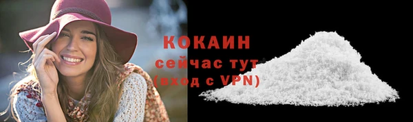 PSILOCYBIN Ладушкин