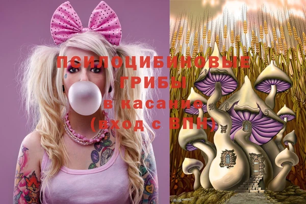 соль курить ск Дмитровск