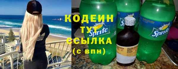 ГАЛЛЮЦИНОГЕННЫЕ ГРИБЫ Гусев