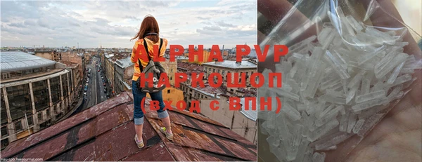 apvp Гусиноозёрск