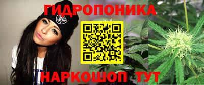 героин Кимры