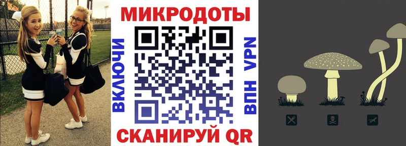 Псилоцибиновые грибы Cubensis  как найти закладки  Котельники 