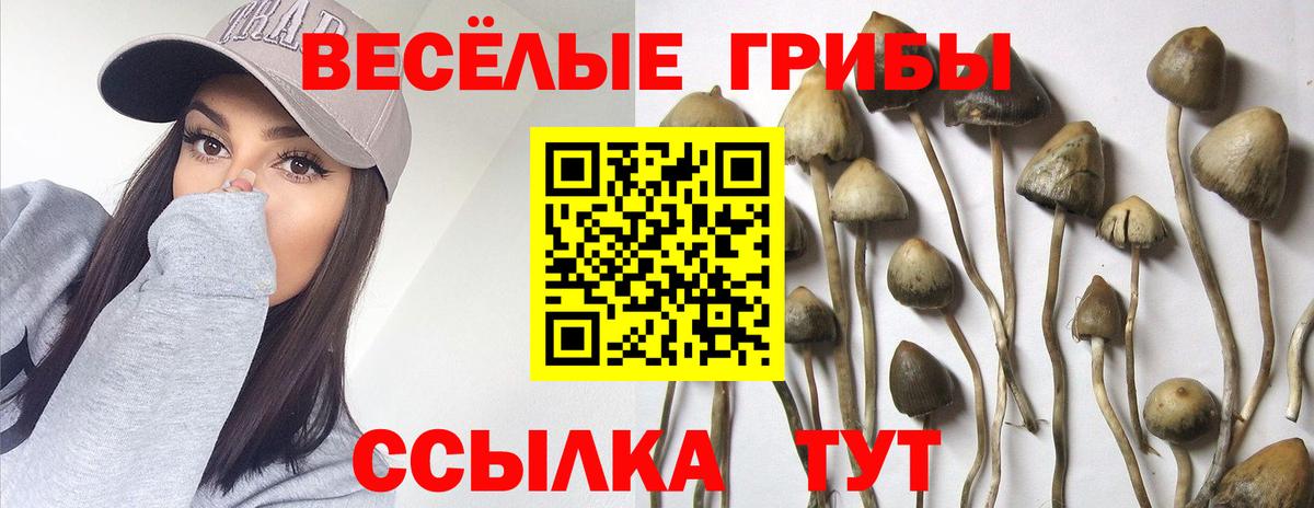 Псилоцибиновые грибы мухоморы Котельники