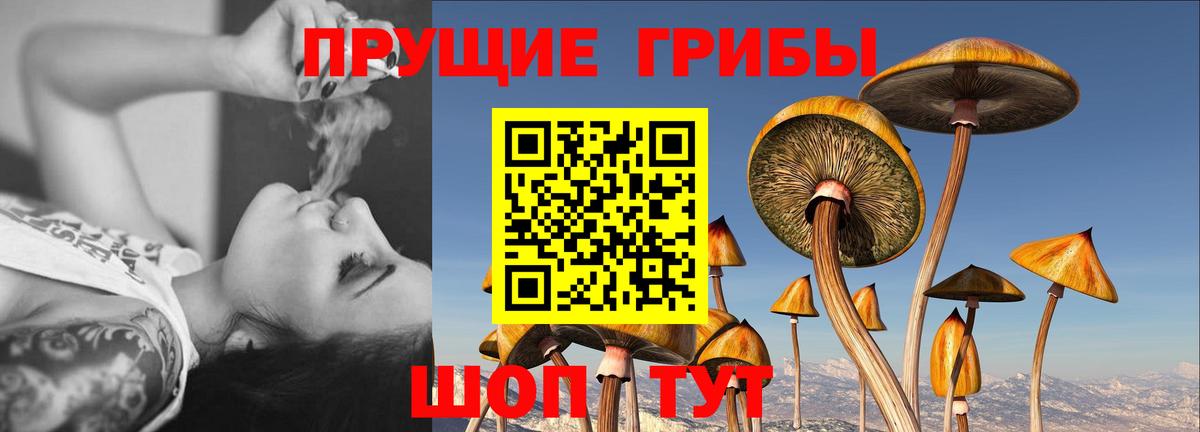 Галлюциногенные грибы Cubensis  Галлюциногенные грибы Magic Shrooms  Вход с VPN  Котельники 