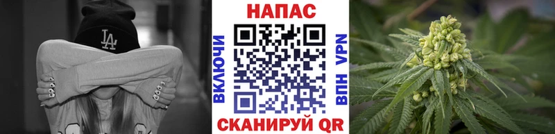 это Telegram  Котельники  Бошки марихуана LSD WEED  где купить наркотик 